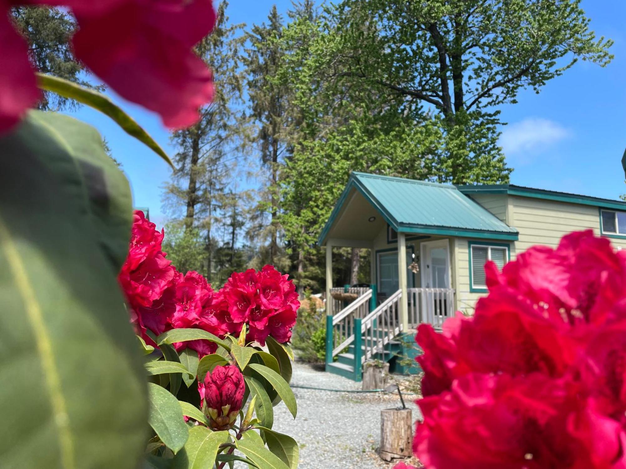 Sheltered Nook On Tillamook Bay Bay City Экстерьер фото